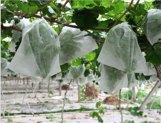 Nonwoven Plant Covers Protection Garden Crop Biodegradable